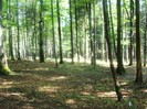 DSC08161
