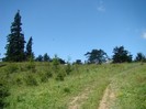 DSC08173
