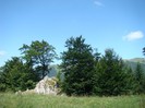 DSC08174