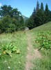 DSC08175