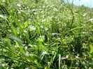 DSC08177