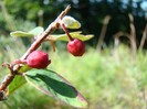 DSC08180