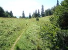DSC08181