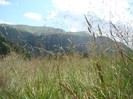 DSC08183