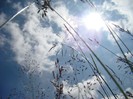 DSC08185