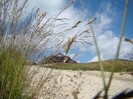 DSC08186