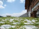 DSC08194