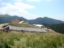 DSC08213