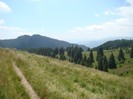 DSC08215