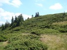 DSC08223