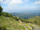 DSC08229
