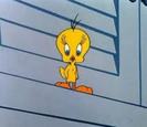 tweety