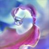 images (26)
