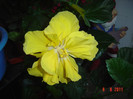 poza012