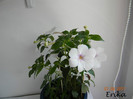 Charity 07-08-2011\'\'