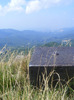 DSCF9564