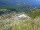 DSCF9574
