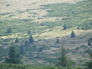 DSCF9578