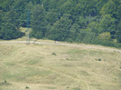 DSCF9580
