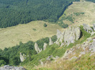 DSCF9584