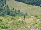 DSCF9593