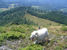 DSCF9595
