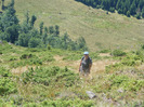DSCF9596