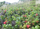 DSCF9601