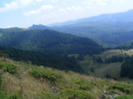DSCF9635