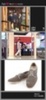 search (97)