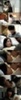 search (68)