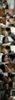 search (69)