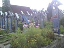 DSC00910