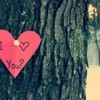 poze_love_08-150x150