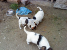 40857938_AQRWUGEKR