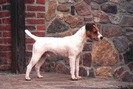 073_Zavabien[1]