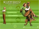 Matthew_Lillard_in_Scooby-Doo_2-_Monsters_Unleashed_Wallpaper_11_1024