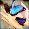 images (10)