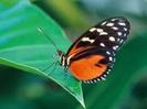 images (16)