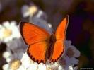 images (21)