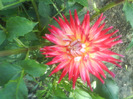 DSC07119