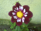 DSC07158