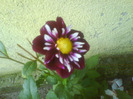DSC07159