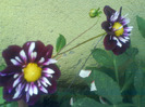 DSC07160
