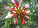 DSC07168