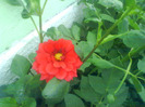 DSC07175