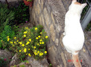 DSC01244