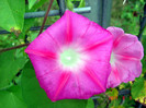 DSC01253