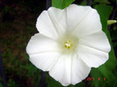 DSC01254