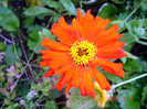 DSC01261